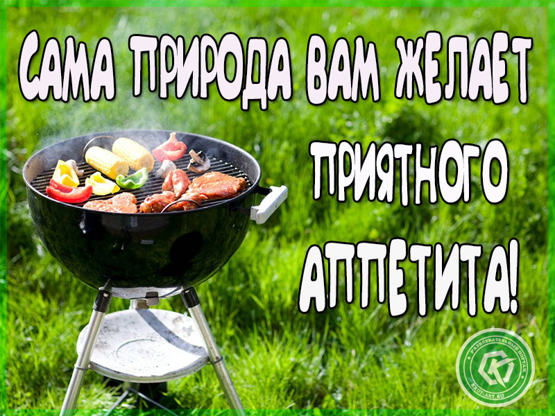 Обед на природе