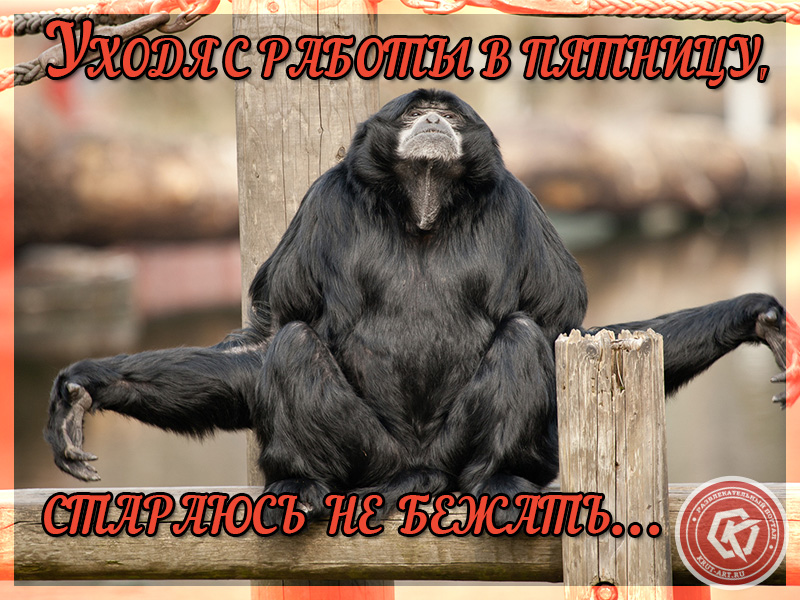 Юмор в пятницу