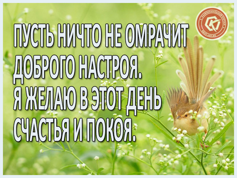 Доброго настроя!