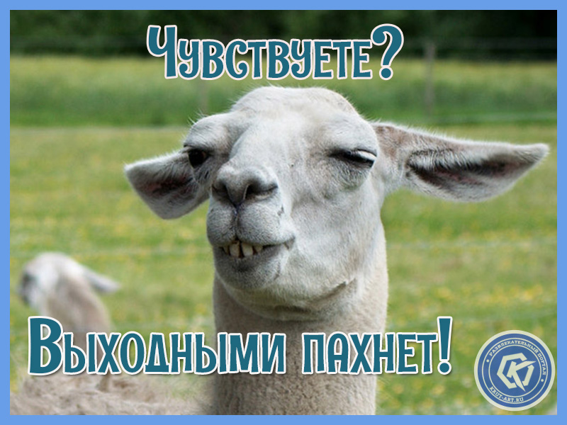 Скоро выходные!