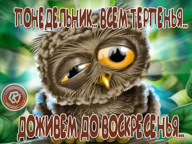 Понедельник… Всем терпенья…