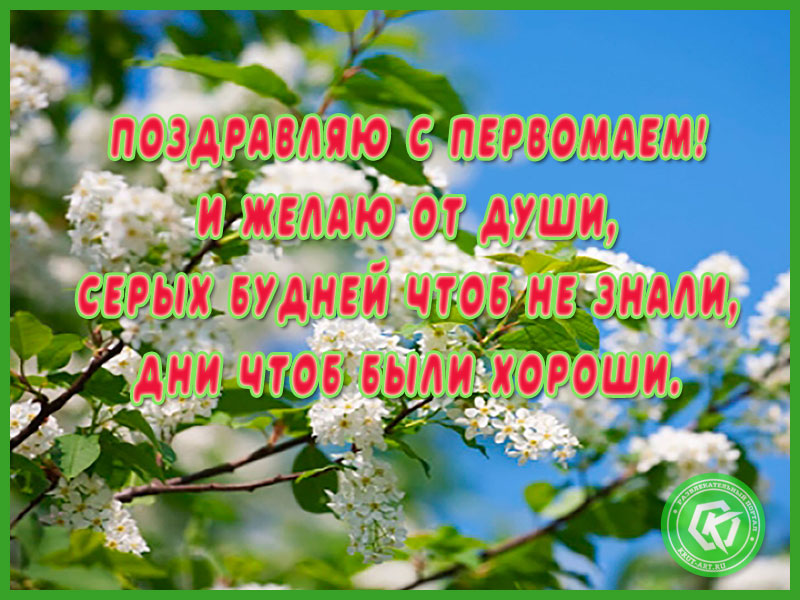 Поздравляю с Днем трудящихся!