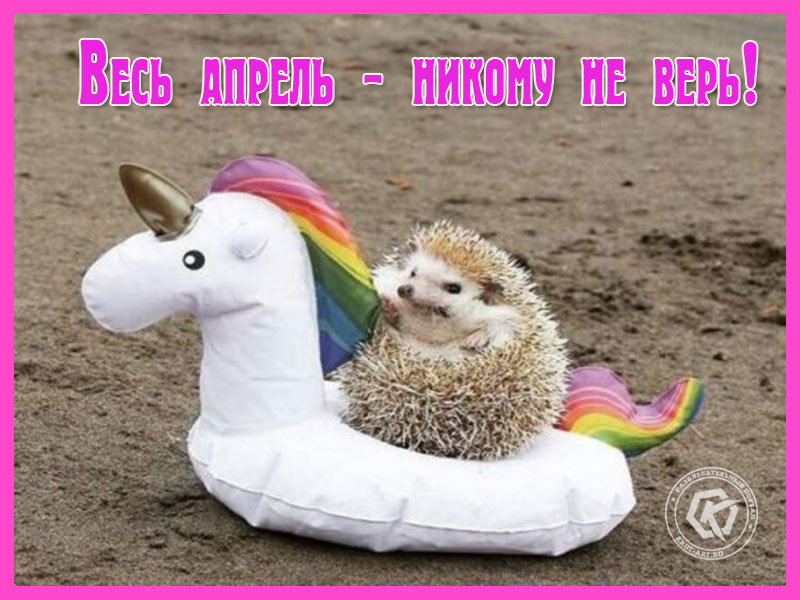 Ежик первоапрельский