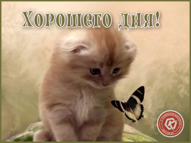 Желаю хорошего дня