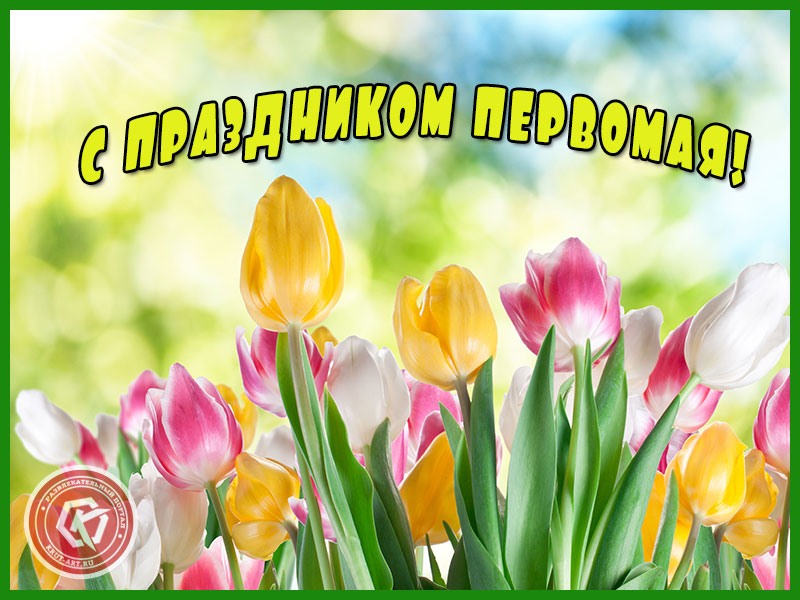 С праздником Первомая!