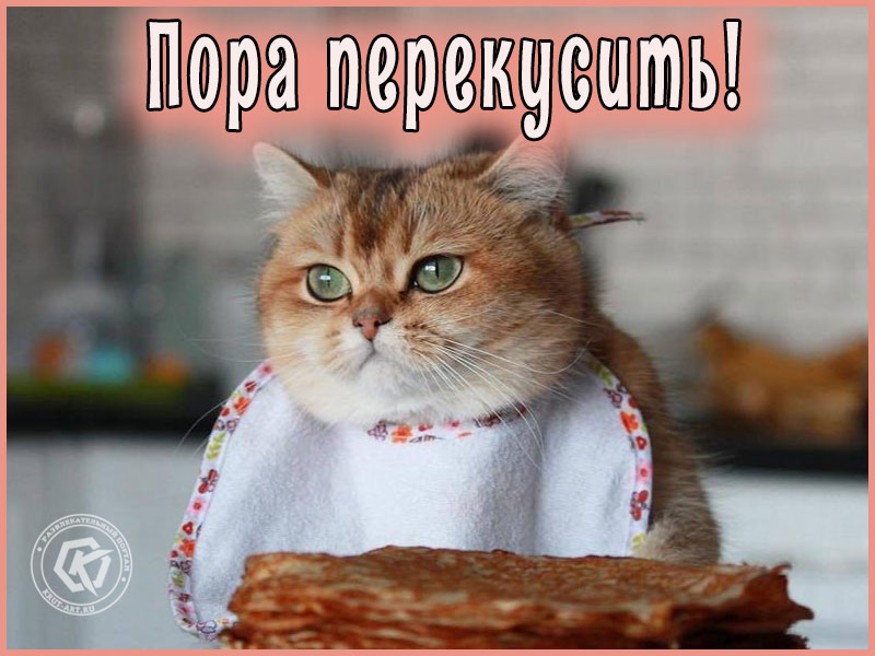 Пора перекусить!
