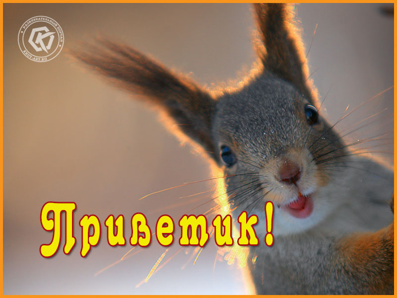 Привет! Как жизнь?