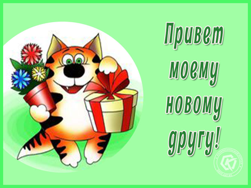 Привет новому другу!