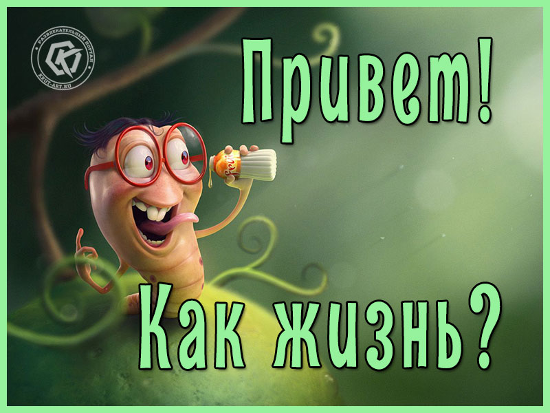 Приветствие!