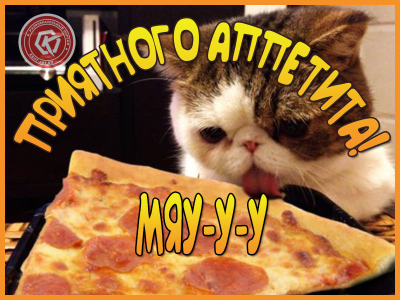 Пора обедать!
