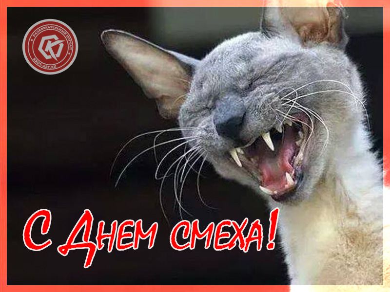 Смеющийся кот