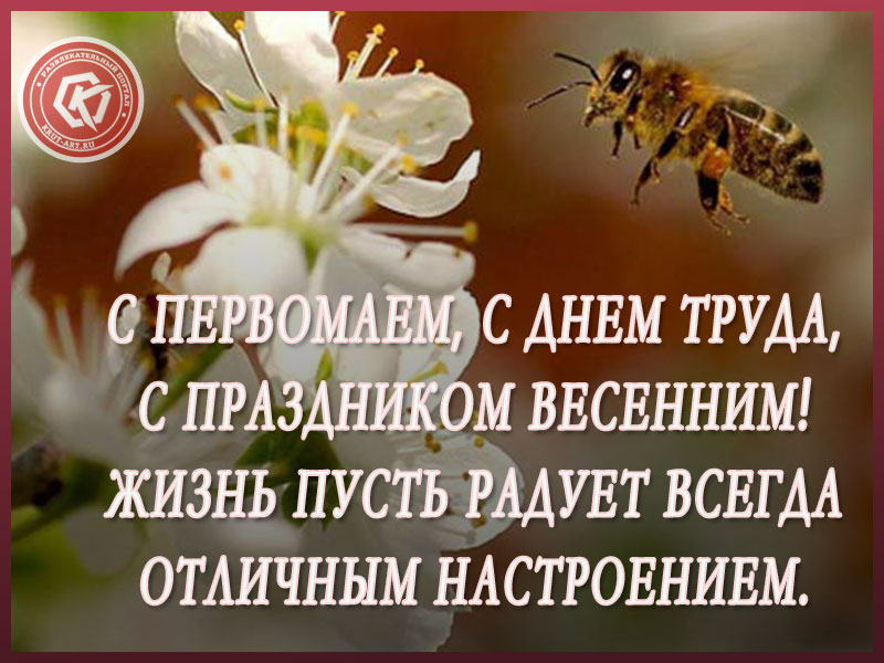 С Днем 1 мая!