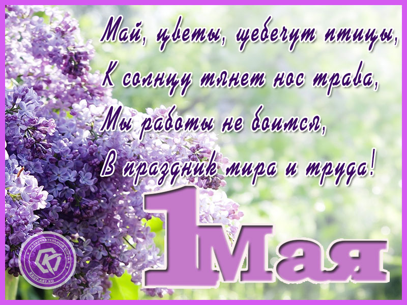 Май, цветы, щебечут птицы