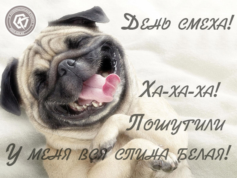 Смеющаяся собачка