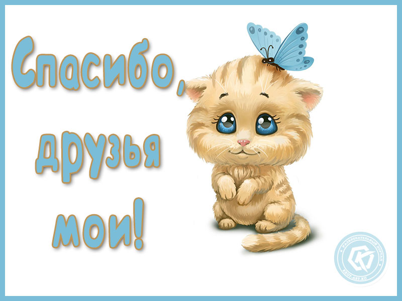 Спасибо, друзья мои!