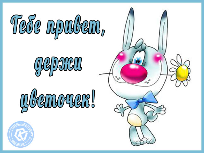 Цветочный привет!