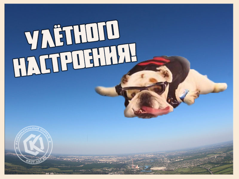 Улетного настроения!