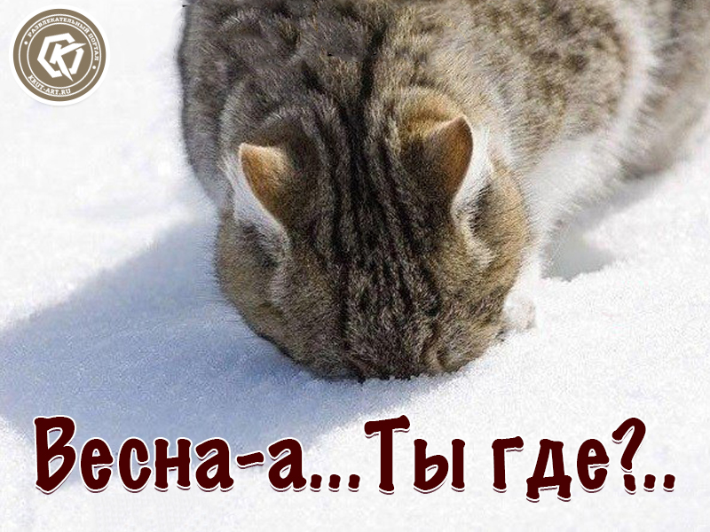 Весна, ты где