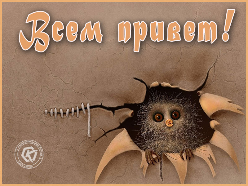 Всем привет!
