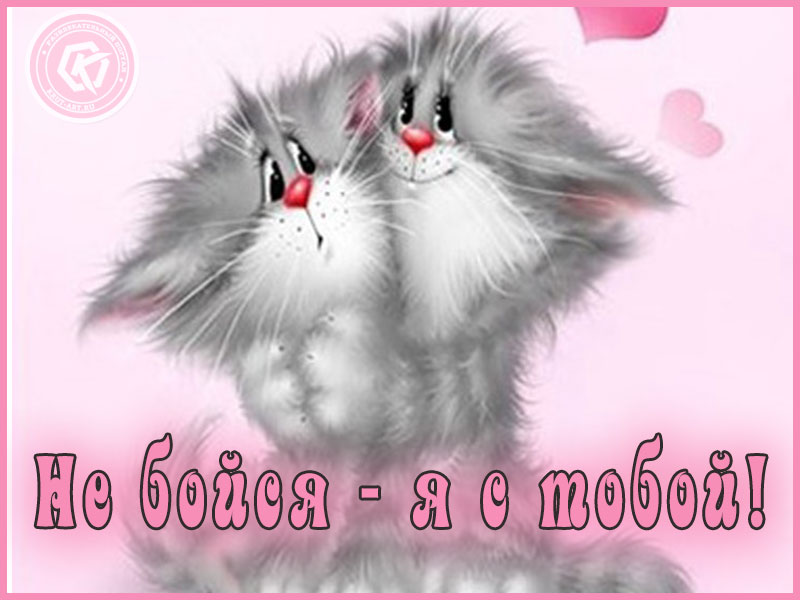 Я с тобой!