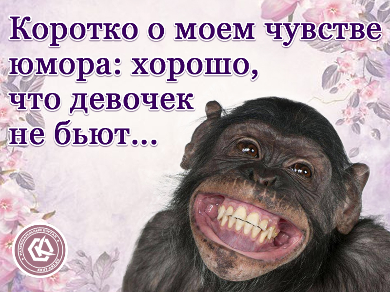Коротко о моем чувстве юмора