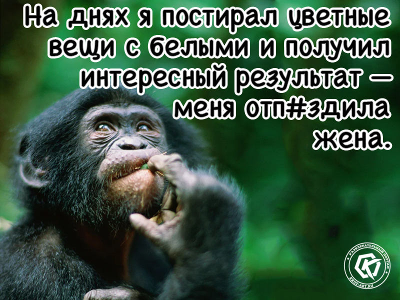 На днях я постирал цветные вещи с белыми и получил интересный результат