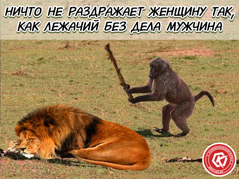 Ничто так не раздражает женщину