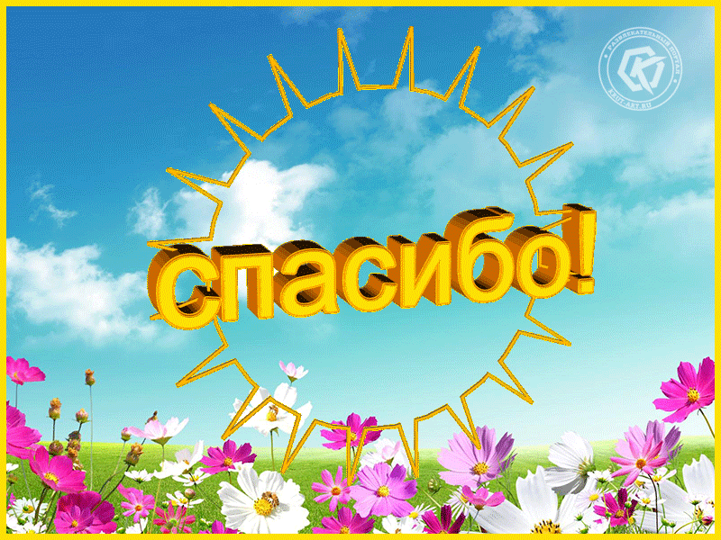 Солнечное спасибо!