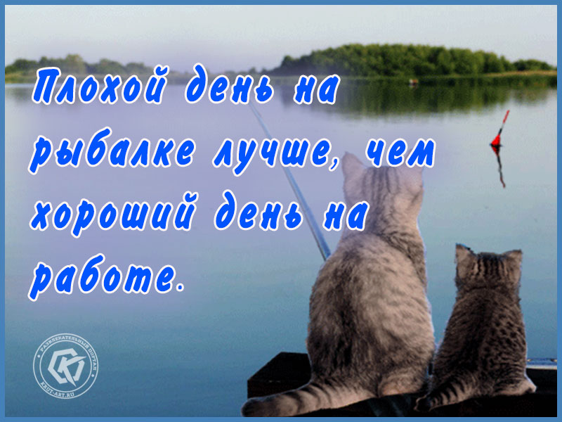 Плохой день на рыбалке…