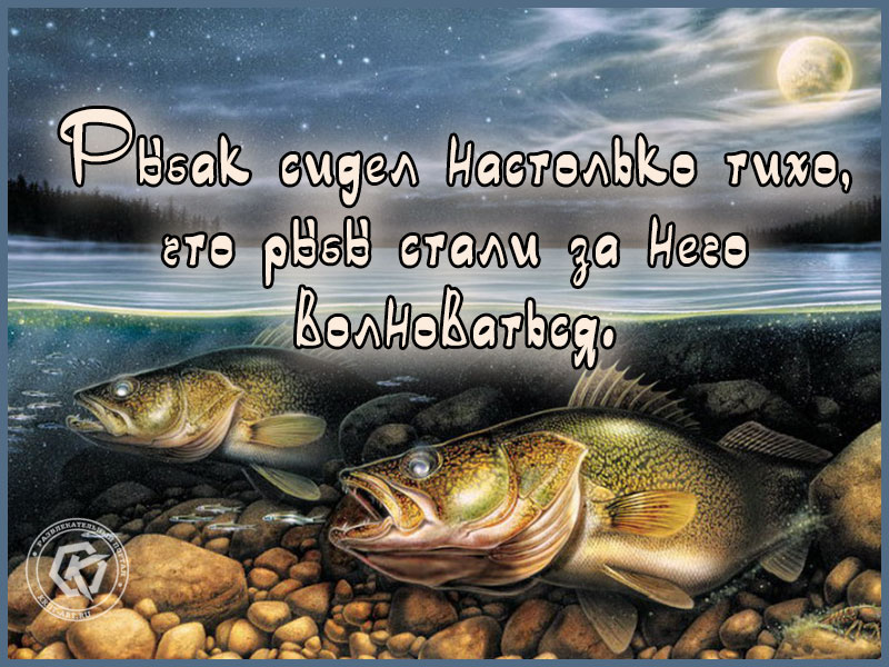 Тишина на рыбалке