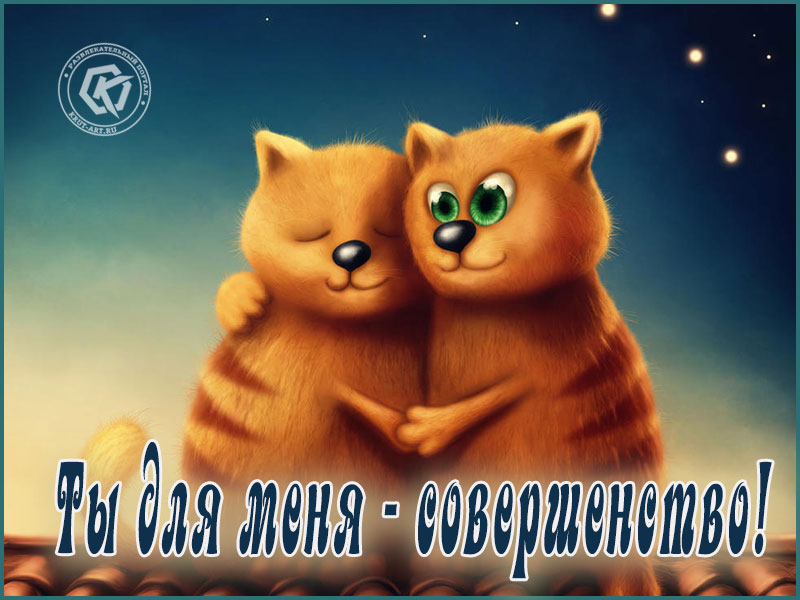 Ты для меня — совершенство!