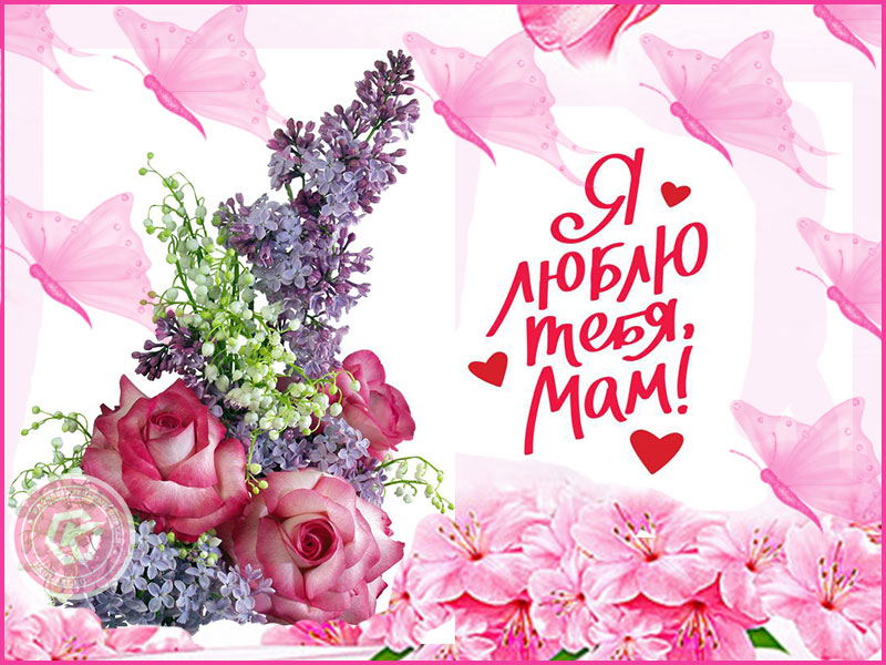 Я люблю тебя, мам!