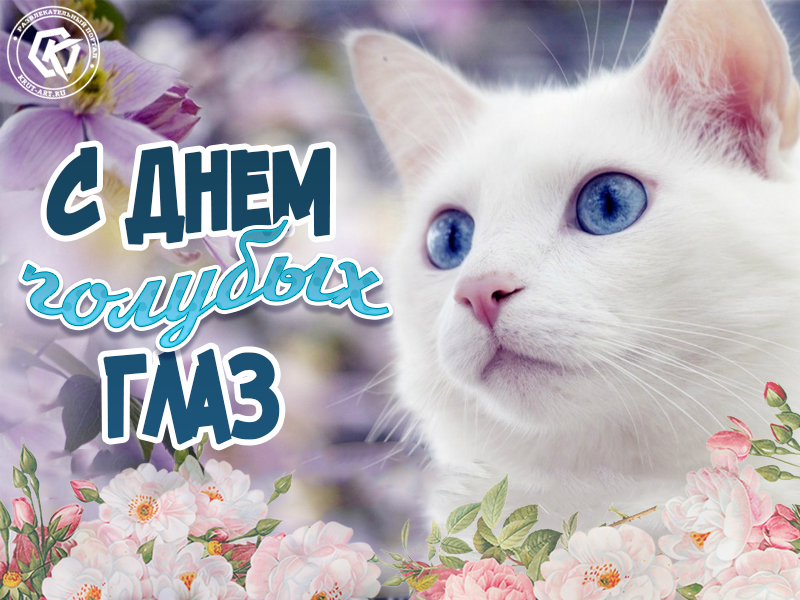 Поздравляю с днем голубых глаз