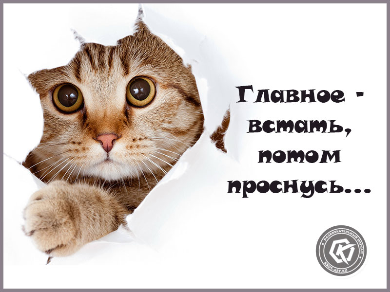 Утренняя открытка