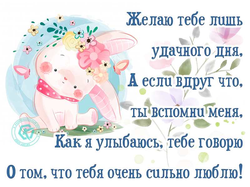 Люблю тебя и желаю удачного дня