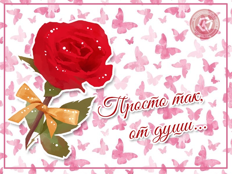 Подарок. Просто так…