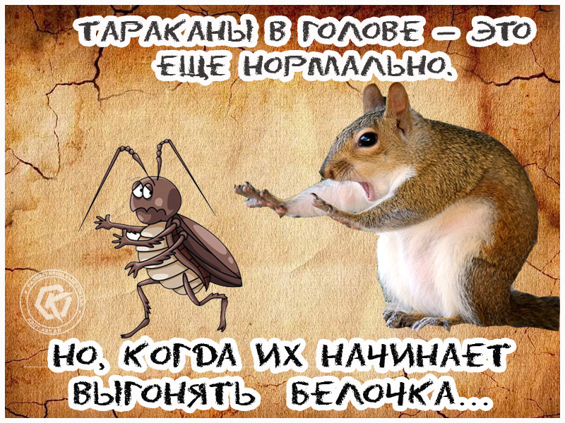 Белочка