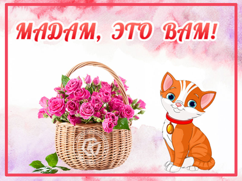 Цветы для Вас