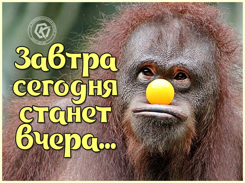 Умная мысль