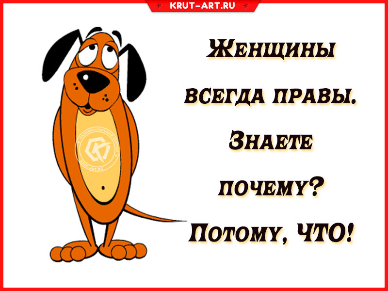 Почему женщина всегда права?