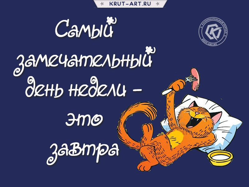 Открытка с юмором «Самый лучший день»