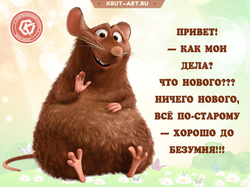 Смешная открытка-приветствие