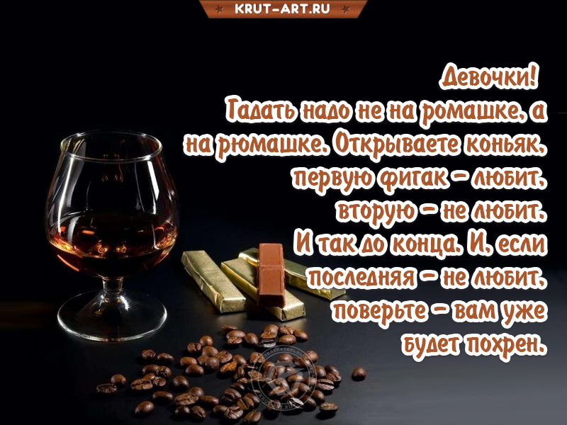 Девочки, гадать надо не на ромашке, а на рюмашке