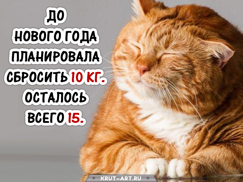 Шутки про новый год