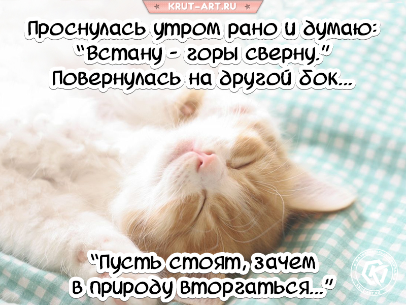 Проснулась утром рано и думаю..