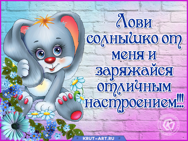 Открытка «Лови солнышко»