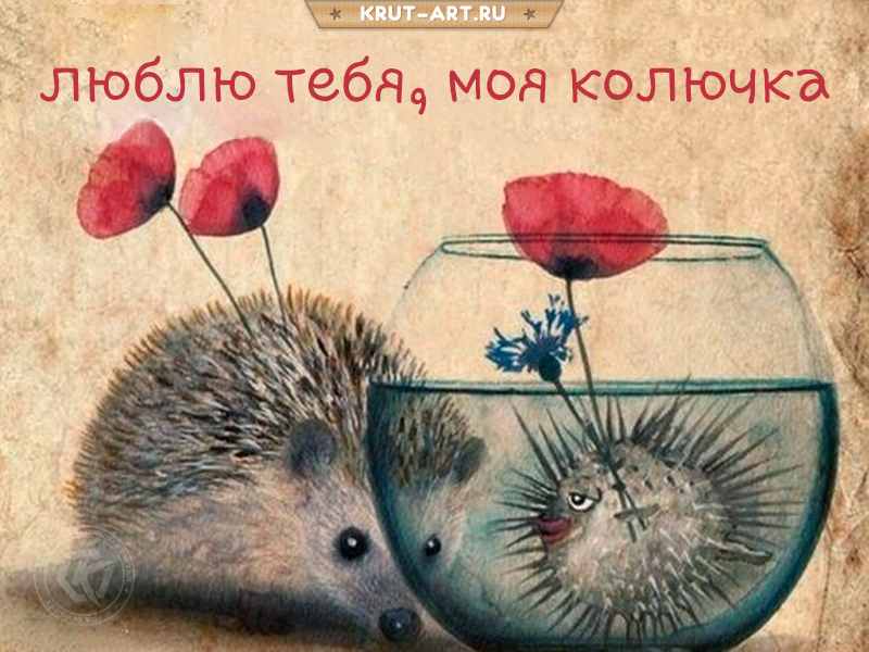 Люблю тебя, колючка картинка