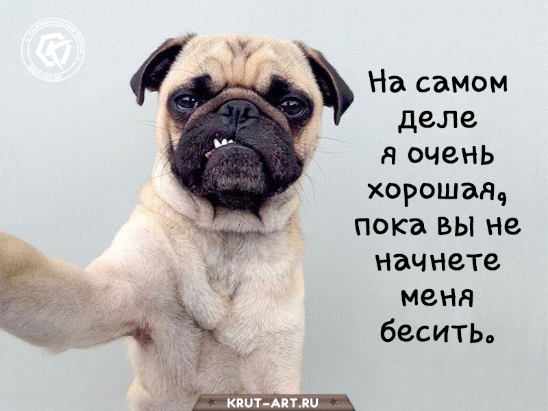 На самом деле я очень хорошая