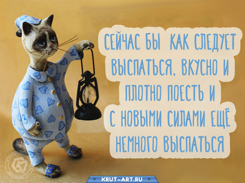 Сейчас бы как следует выспаться