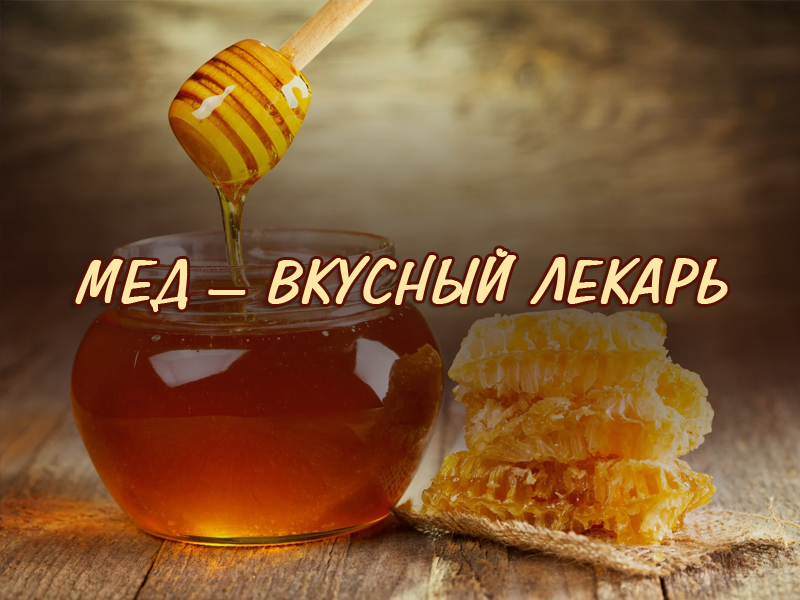 Мед – вкусный лекарь